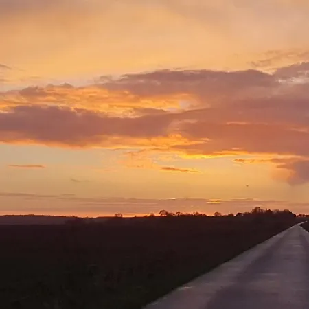 Ragnhilds Gard, Хостел Nyord